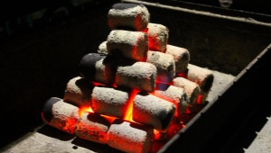 Wszystko o brykietach grillowych