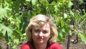 Odmiany winogron Krasokhina Svetlana Ivanovna