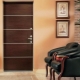 Drzwi Zetta: zalety i wady