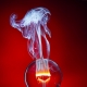 Lampy do opraw