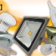 Żarówki LED Ecola