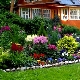 Rośliny w projektowaniu krajobrazu: zasady projektowania ogrodów