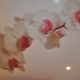 Sufit napinany z orchideą: oryginalny wystrój we wnętrzu