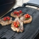 Grille Weber: zasady doboru i pielęgnacji