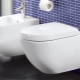 Charakterystyczne cechy toalet Villeroy & Boch
