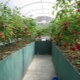 Ciepłe łóżka w szklarni: produkcja krok po kroku