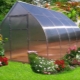 Kropla szklarni: charakterystyka i instalacja