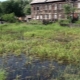 Funkcje wyboru i tworzenia fundamentu na bagnach