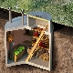 Piwne Uralety: charakterystyka techniczna i cechy instalacji