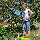 Cechy wyboru opryskiwaczy akumulatorowych Clever