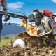 Porównujemy motobloki producentów zagranicznych i krajowych
