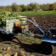 Chariots pour tracteur à conducteur marchant: types, caractéristiques de choix et fixation