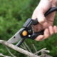 Wszystko o sekatorach Fiskars