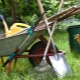 Sadzonki do narzędzi ogrodniczych: rozmiary i cechy montażowe