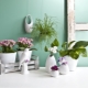 Doniczki ceramiczne: cechy, rozmiary i wzory