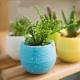 Pots en plastique pour fleurs: types, tailles et designs