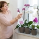 Jak ożywić orchideę?