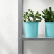 Donice Ikea: cechy, rodzaje i zastosowanie we wnętrzu