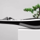 Czym jest bonsai: formy i wskazówki dotyczące uprawy