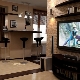 Conception d'un appartement d'une pièce dans un style moderne