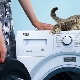 Pralki Beko z obciążeniem 6 kg: charakterystyka i zakres