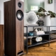 Akustyka Hi-Fi: definicja, charakterystyka, zalecenia dotyczące wyboru