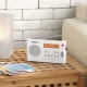 Radiotelefony przenośne: typy i producenci