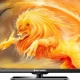 Telewizory Shivaki: dane techniczne, zakres modeli, wskazówki dotyczące użytkowania