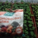 Wszystko o monofosforanie potasu