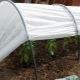 Wszystko o materiale pokryciowym „Agrospan”