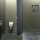 Pisuary damskie: czym są, jak wybrać i używać?