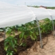 Wszystko o materiałach pokryciowych Agrotex