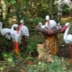 Przegląd bocianich figur ogrodowych i ich rozmieszczenia