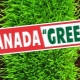 Wszystko o Kanadzie Green Lawn Grass