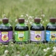 Wszystko o nawozach organicznych