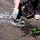 Aplikacja popiołu truskawkowego