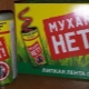 Wszystko o pułapkach na muchy i muszki