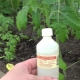 Ammoniac pour le jardin et le potager