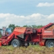 Czym są kombajny ziemniaczane i jak je wybrać?