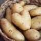 Jak przechowywać ziemniaki w mieszkaniu?