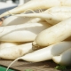 Jak wygląda daikon i jak go uprawiać?