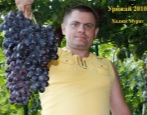 Winogrona Hadji Murat