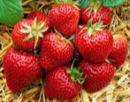 Aromaty Truskawkowe