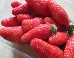Truskawkowa Gariguetta