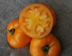 Pomidor Aisan