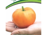 Pomidorowa Amana Pomarańcza