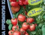 Pomidor Herman