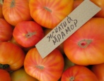 Pomidorowy żółty marmur