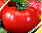 Pomidor Kirzhach
