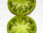 Pomidorowy Kiwi